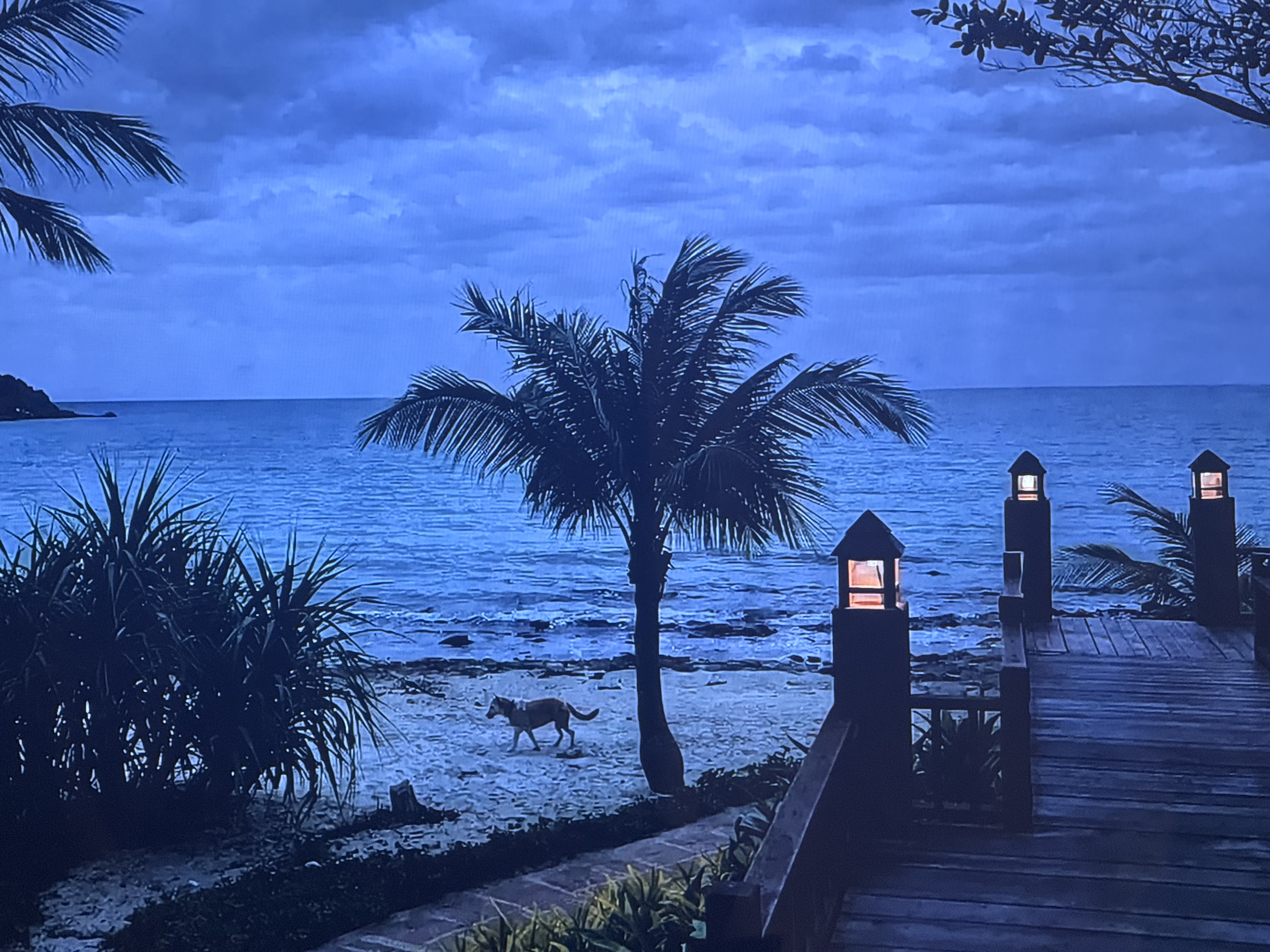 Chill, chill and more chill. Pure relax.